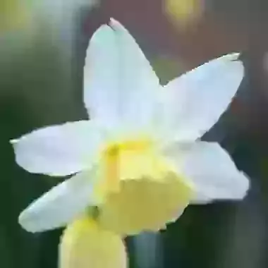 Tresamble